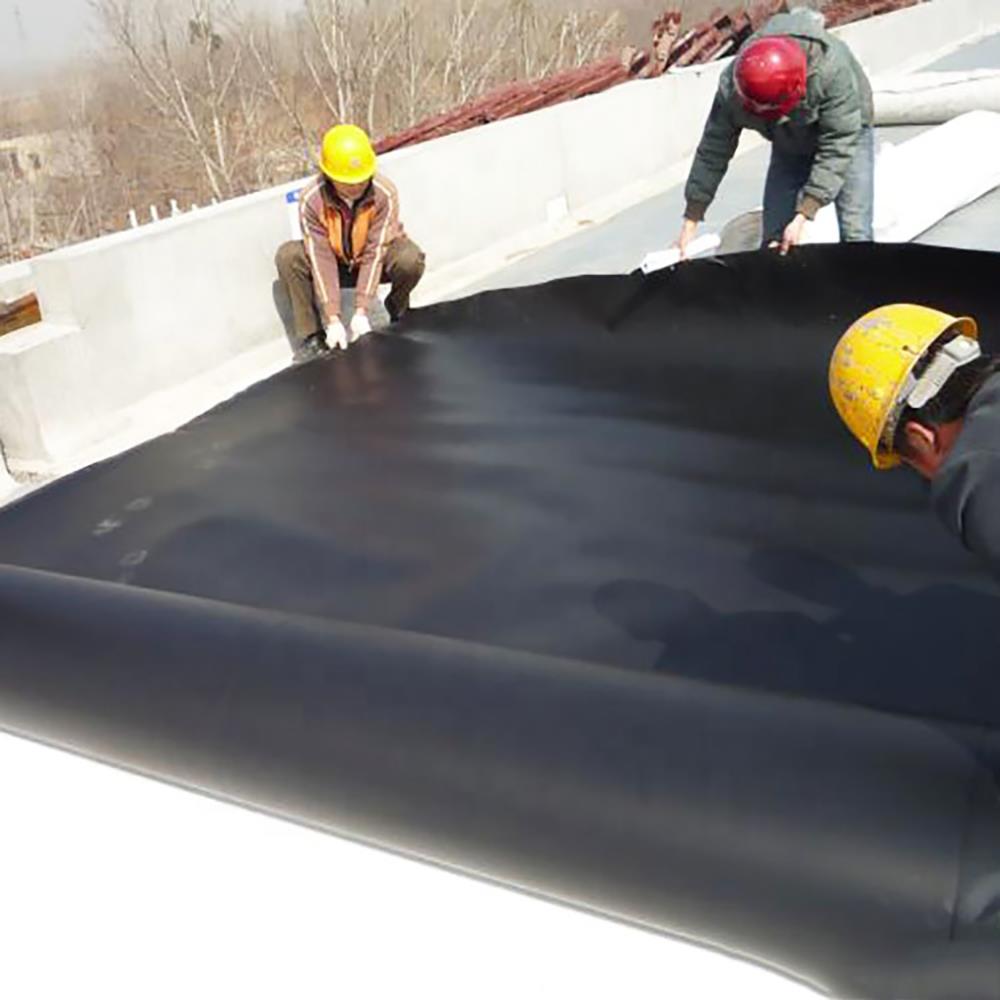 EPDM_07.jpg